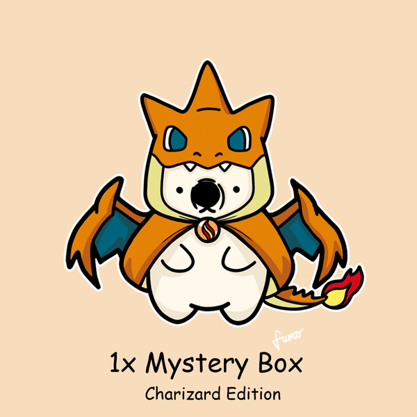 Pokemon Mystery Box - Charizard Edition - Pachi's Collectibles