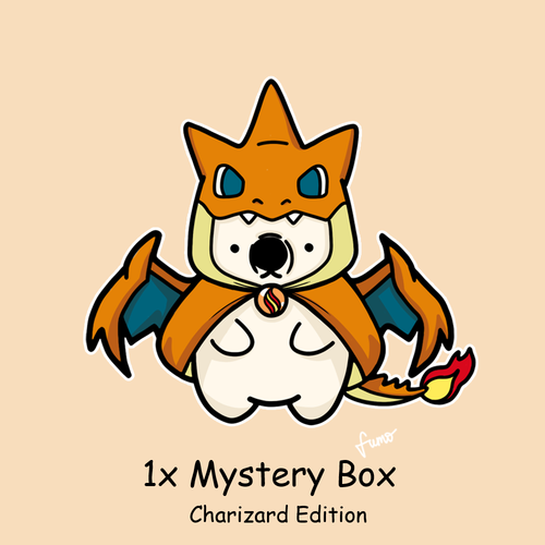 Pokemon Mystery Box - Charizard Edition